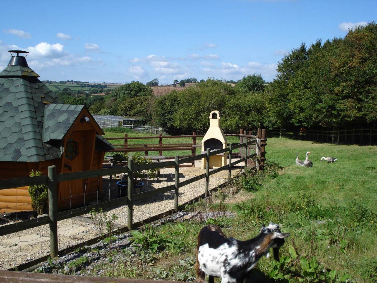 Greyfield Farm Cottages Farmborough Exteriör bild