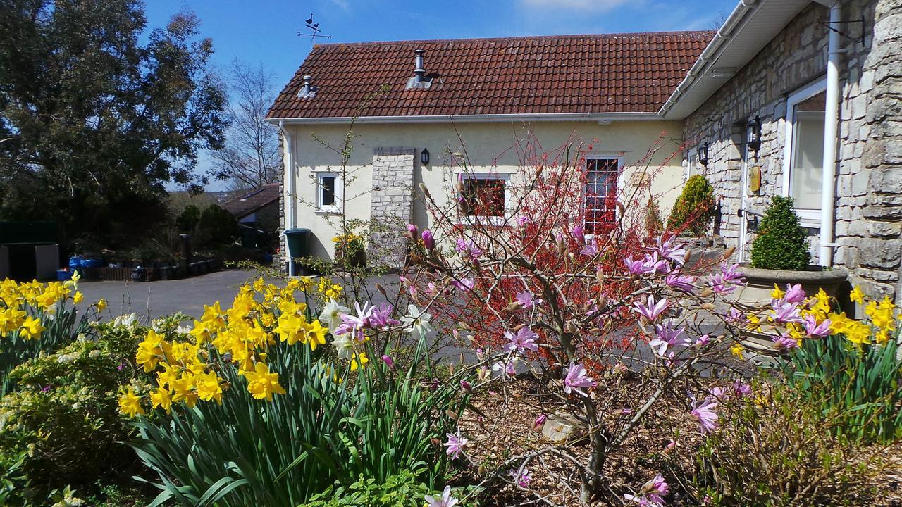 Greyfield Farm Cottages Farmborough Exteriör bild